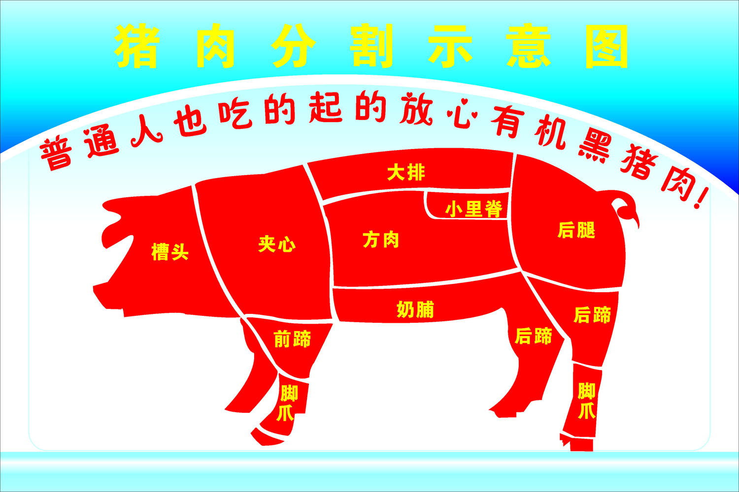 569摆件海报展板喷绘贴纸素材627猪肉分割示意图