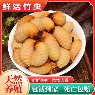 竹虫鲜活云南广东广宁竹笋虫活椰子虫皇竹虫新鲜速冻油炸即食幼苗
