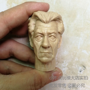 1/6 老年万磁王头雕 白模 X战警 金刚狼老友 D老法师 兵人配件
