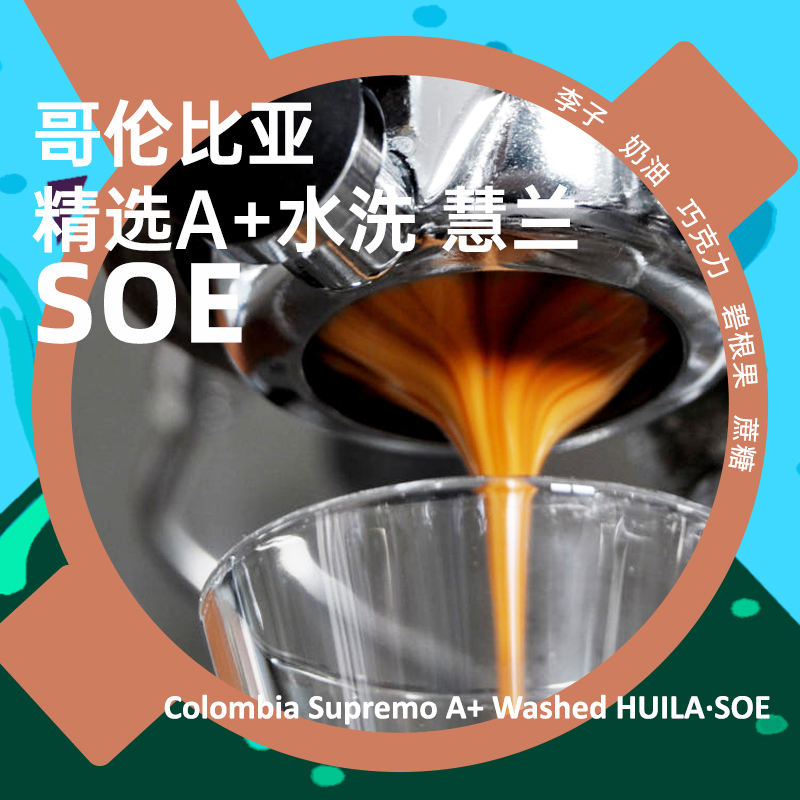 铂澜哥伦比亚SOE咖啡豆单一产地
