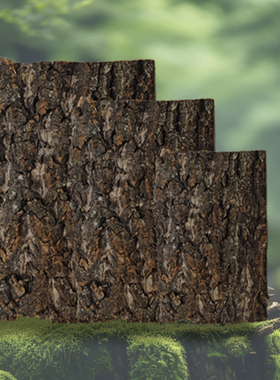 寄居蟹爬宠树皮蜘蛛守宫蜥蜴躲避饲养箱造景香槟木树皮背景板躲避