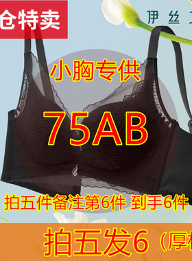 （拍五发6）伊丝艾拉聚拢小胸聚拢75AB码进文胸（三件包邮）