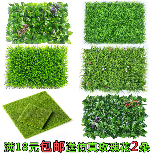 苔藓微景观仿真草坪假苔藓生态瓶装饰假白发藓室内外墙体背景装饰 - 封面