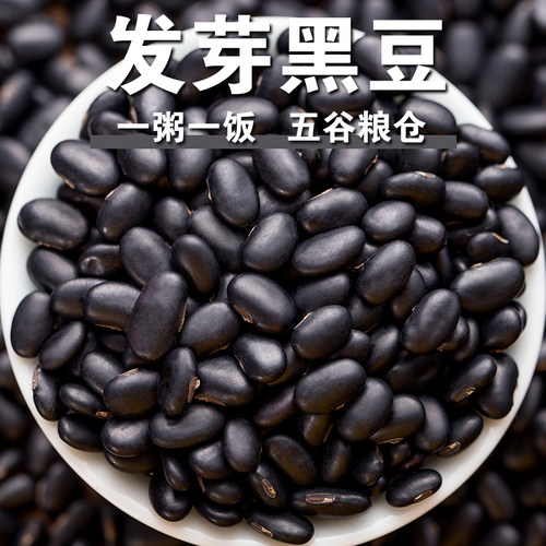 发芽黑豆1/3/5斤和爸妈一起创业
