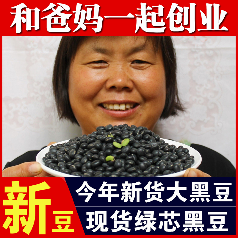 绿心黑豆250g农家自产黑豆大黑豆绿芯黑豆新货黑大豆五谷杂粮散装