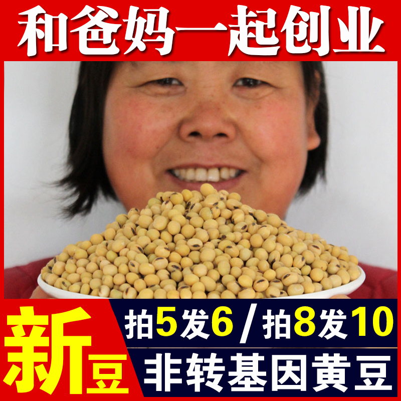 笨黄豆250g非转基因黄豆当季新黄豆农家自种黄豆大豆打豆浆黄豆A