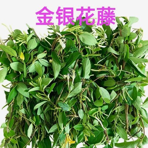 新鲜金银花藤宝宝洗澡天然野生忍冬藤洗澡 痱子野生现摘现发