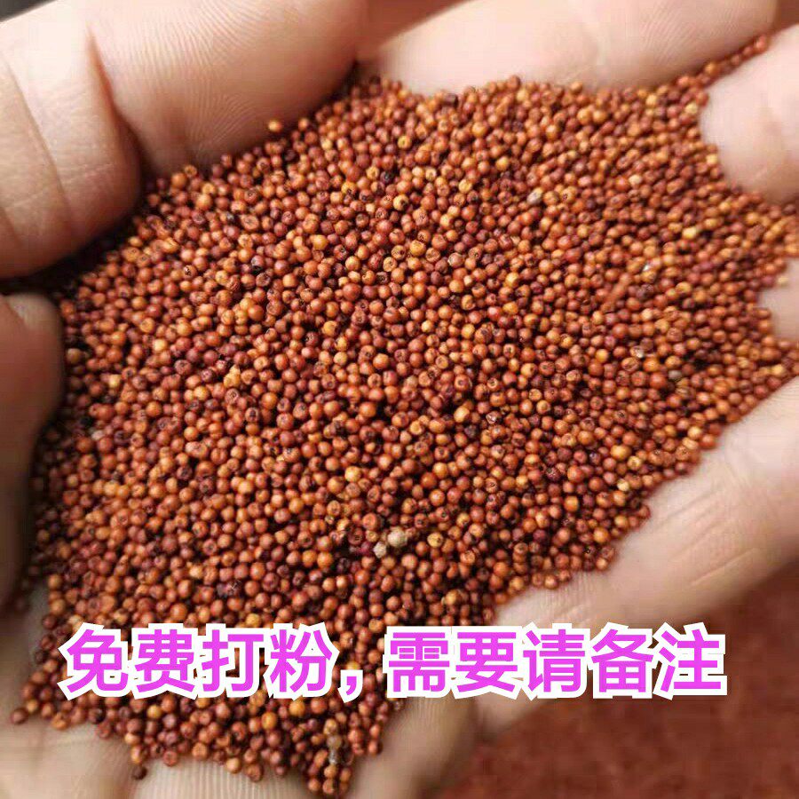 广西鸭脚粟农家穇子粉粟米粉现磨鸭脚粟穇子粑糁子粉龙爪粟杂粮