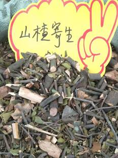 山楂树寄生新晒山楂木寄生茶有枝有叶干品500g包邮其他寄生备注