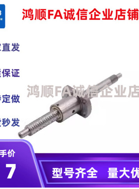 滚珠丝杆 BSST0802 1505 1204  BSSR1010 1510 2020 32-820-KC15