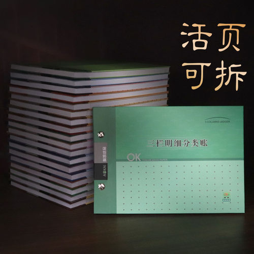 活页可拆卸账本实物出入财务账本