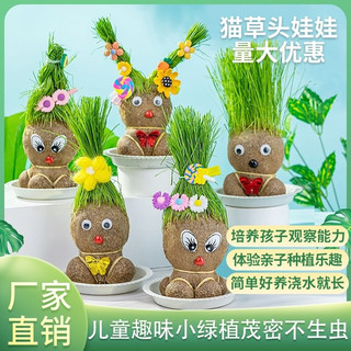 长草头娃娃头开心迷你室内儿童水培创意趣味小盆栽农场小绿植物