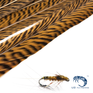 精选 锦鸡尾羽 飞钓绑制材料 JIG若虫材料 羽毛 冰溪飞钓