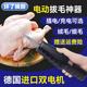 家禽全自动拔毛神器家用电动鸡鸭脱毛机手持拔毛机