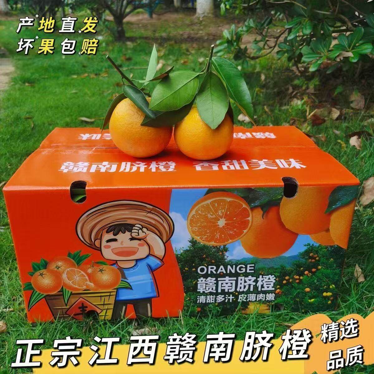 正宗赣南脐橙5斤/10斤江西赣州寻乌甜橙子应季孕妇新鲜水果手剥橙
