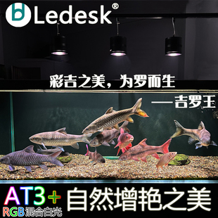 新款乐迪吉罗专用灯全光谱增色显色爆藻灯 原生溪流鱼缸灯 吉罗王