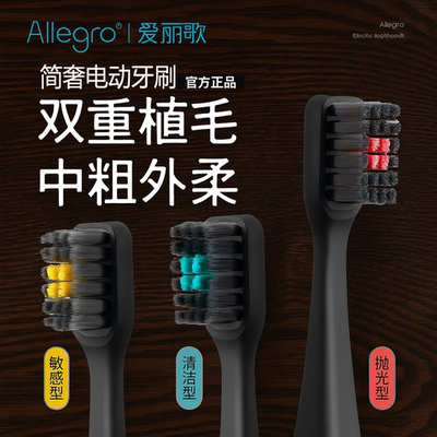 Allegro爱丽歌声波电动牙刷成人情侣款感应充电高档节日礼物男女