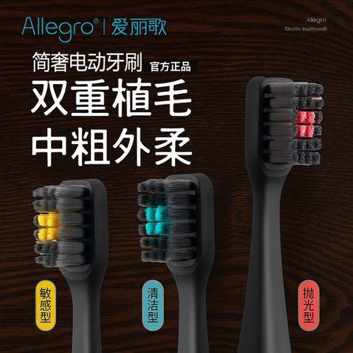 Allegro爱丽歌声波电动牙刷成人情侣款感应充电高档节日礼物男女
