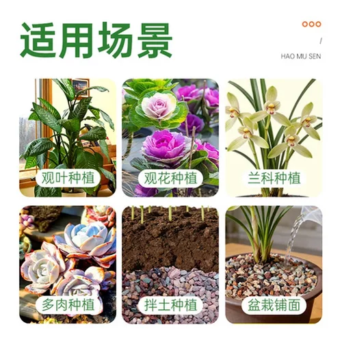 彩虹石铺面石盆栽鱼缸底砂虹彩石颗粒基质植物多肉介质土造景花卉 - 封面