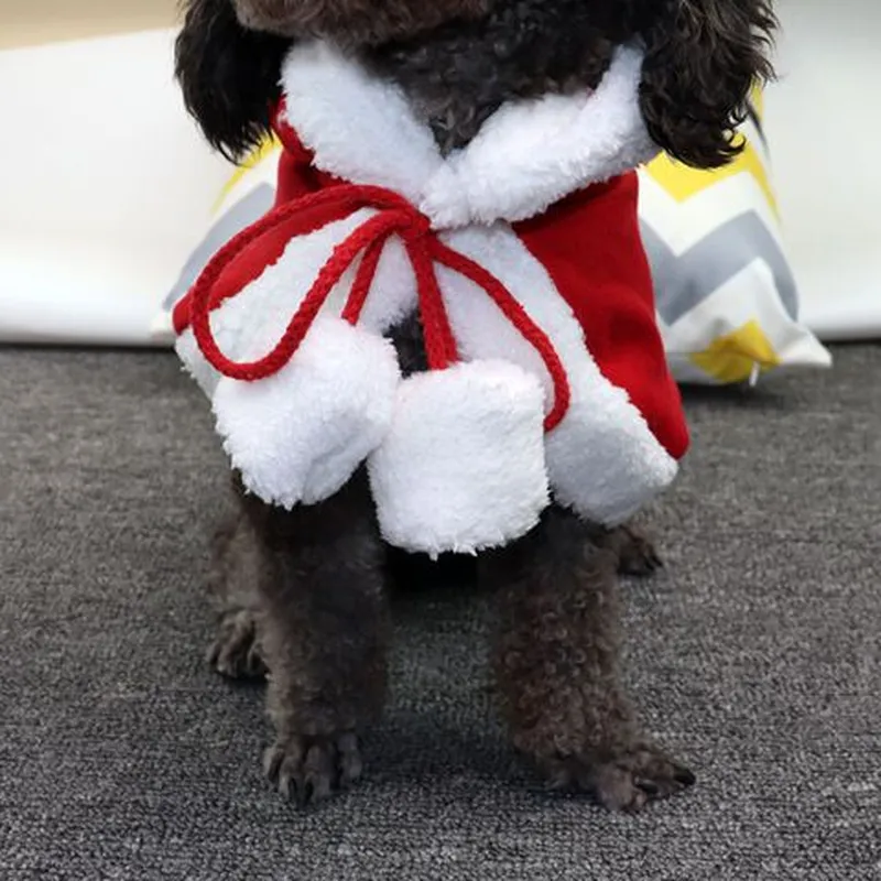斗篷圣诞古装新年小红帽奇宠披风猫咪宠物狗狗衣服图片