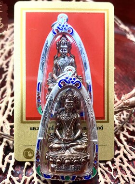 贝叶泰佛2561龙婆马哈苏拉萨药师那迦铜珐琅银壳D卡包邮泰国特色