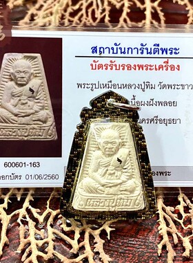 贝叶泰佛2540龙婆肥添自身套装可单出含壳及GPRA卡包邮泰国特色