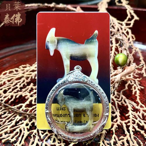 龙婆叻冠兰山羊含壳UM卡包邮