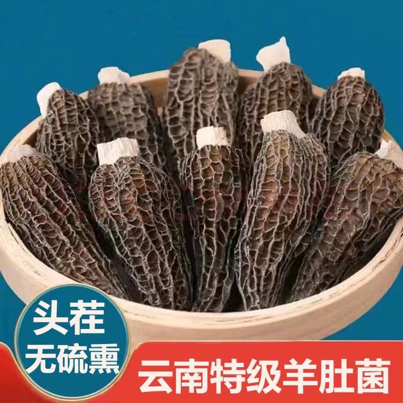 羊肚菌干货头茬肉厚香味足干度炖汤滋补性价比高罐装剪脚,粮油调味/速食/干货/烘焙,羊肚菌,淘宝优惠券,粉丝福利购,淘宝优惠卷