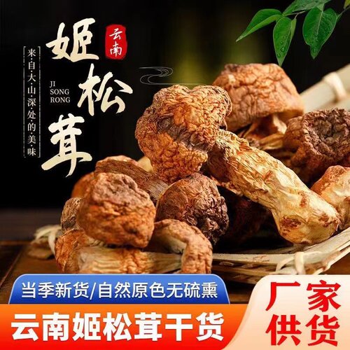 云南姬松茸黄色巴西菇炖汤煲汤口感好营养滋补肉厚香甜