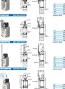 供应全新GSEE行程开关GSLS-KQ40-2E2R52 GSLS-KQ40-2E2R53