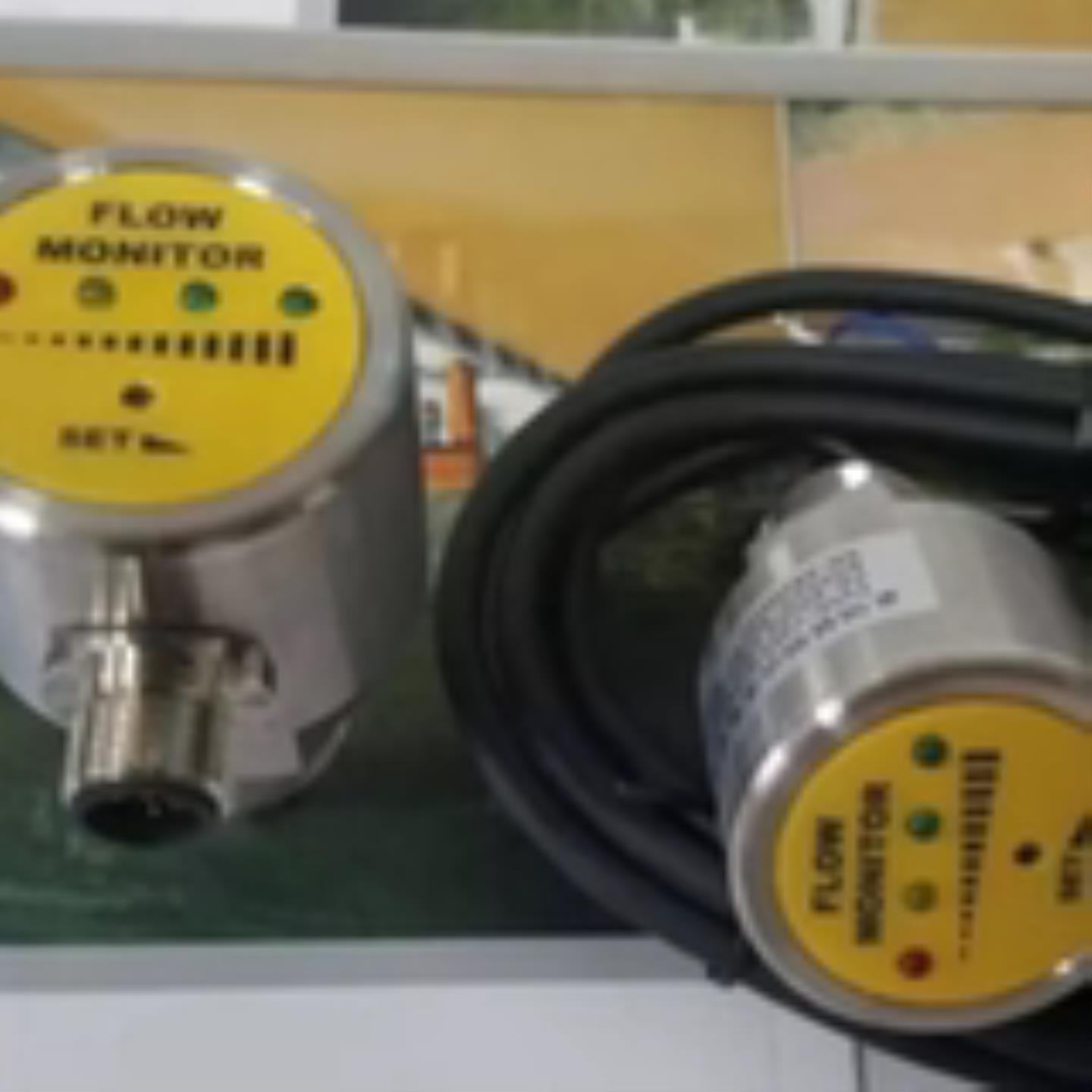 热式流量开关FS30-G12EDRYQ FS30-G14EDRYQ  FS23-G12EDRYQ