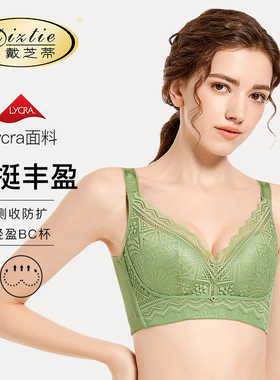 戴芝蒂新品调整型聚拢收副乳内衣四排扣包裹防下垂上托文胸G84998