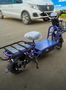 载重王可上牌大力神载货外卖拉水送餐外卖长跑铁架两轮电动电瓶车