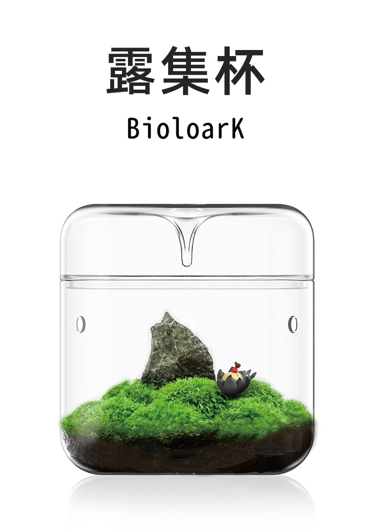 生物方舟生态瓶苔藓微景观
