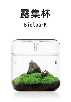 生物方舟生态瓶苔藓微景观