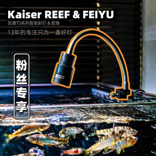 凯撒可调色温变焦日出日落鱼缸南美三湖雷龙原生溪流吉罗植物射灯