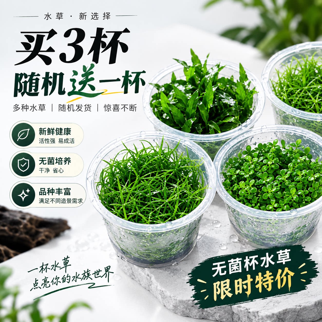 无菌杯水草无藻无螺水下新手懒人草缸前中后景活体造景珍珠水草