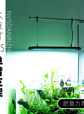 [肥鱼]ADA款吊架实心304吊架水族灯吊架草缸架子灯架单臂吊架