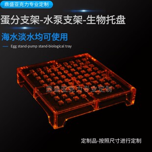 海水蛋分托架抬高架鱼缸水泵垫高提升架底滤缸滤材透水支撑架垫板