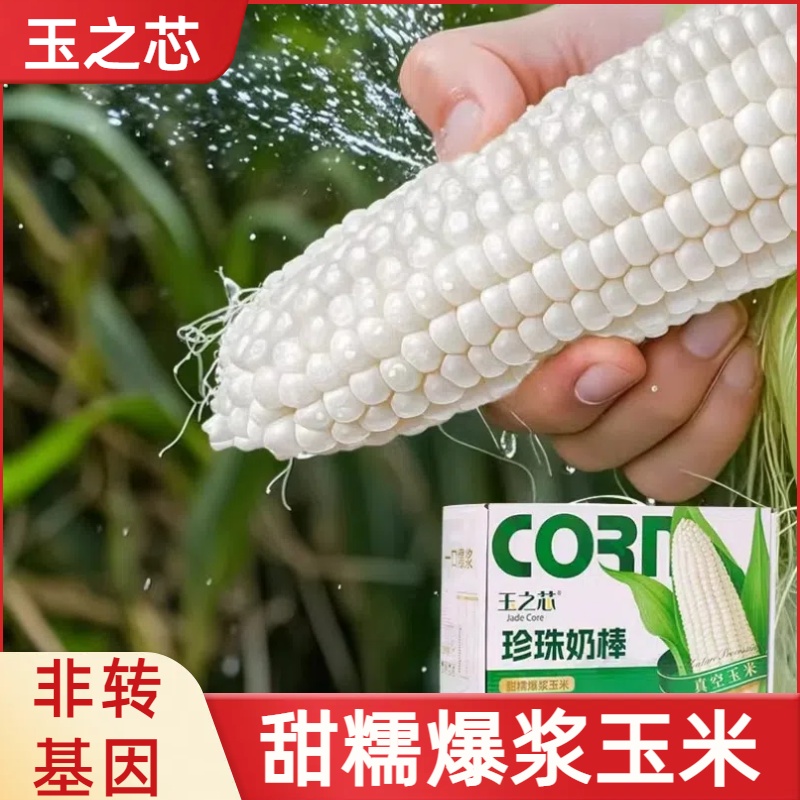 玉之芯珍珠奶棒东北云南甜糯玉米