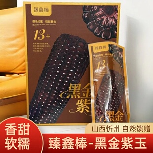 臻鑫棒黑金紫玉山西忻州黑糯香糯粘玉米礼盒10根送礼自吃黑苞玉米