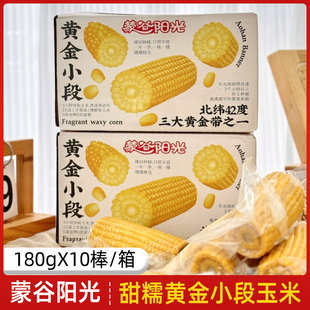 蒙谷阳光黄金小段玉米2025新鲜甜糯真空包装非转基因速食早餐