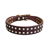 宠物项圈真皮项圈头层牛皮皮质狗狗项圈脖圈脖套颈圈镶钻全粒面