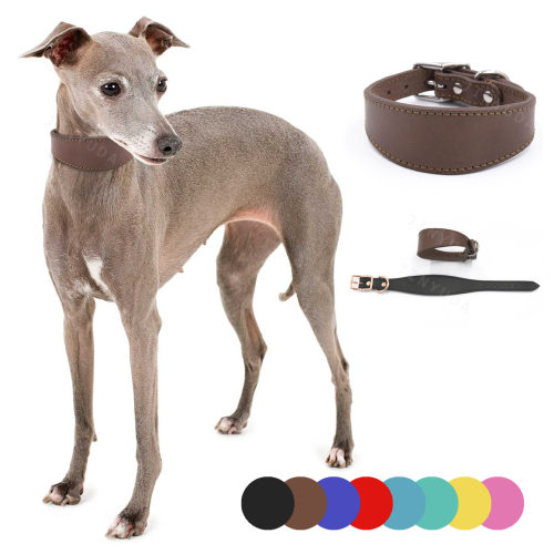 跨境全粒面牛皮加宽细犬真皮项圈宠物项圈狗狗防勒灵缇犬皮质颈圈