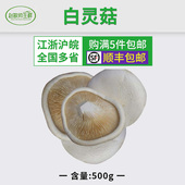 新鲜白灵菇 包邮 白灵菇 全国多省1件 新鲜 新鲜菌菇