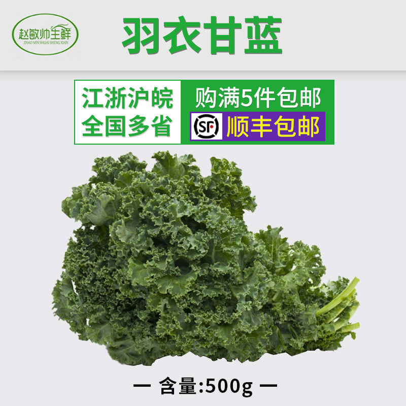 新鲜羽衣甘蓝500g 绿叶甘蓝菜 雨衣甘蓝  新鲜 江浙沪皖5件包邮,水产肉类/新鲜蔬果/熟食,其它,淘宝优惠券,粉丝福利购,淘宝优惠卷