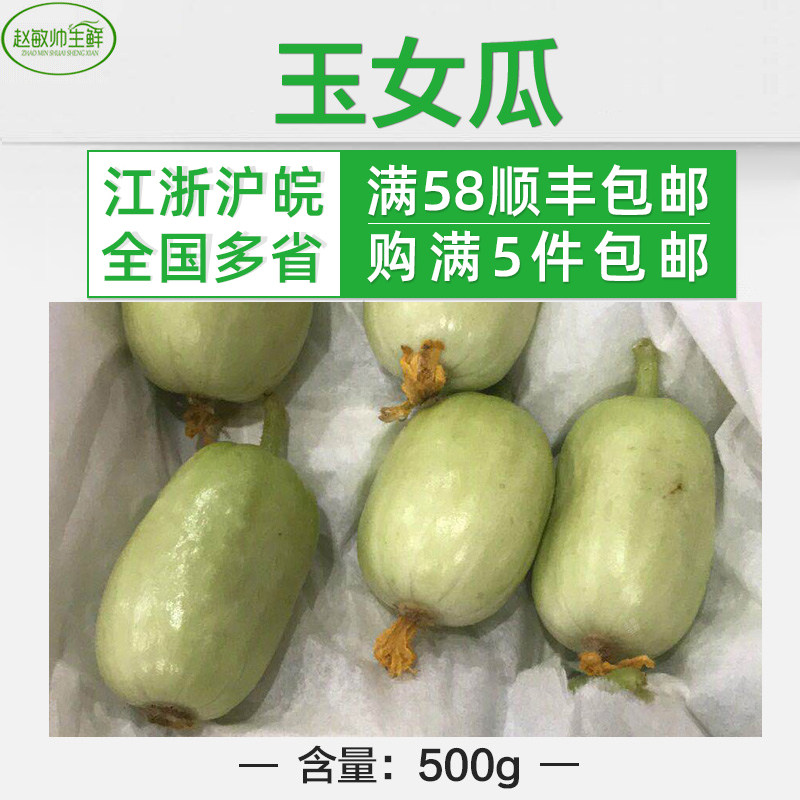 玉女瓜 新鲜蔬菜 500g  5斤包邮 瓜果类蔬菜 家常菜