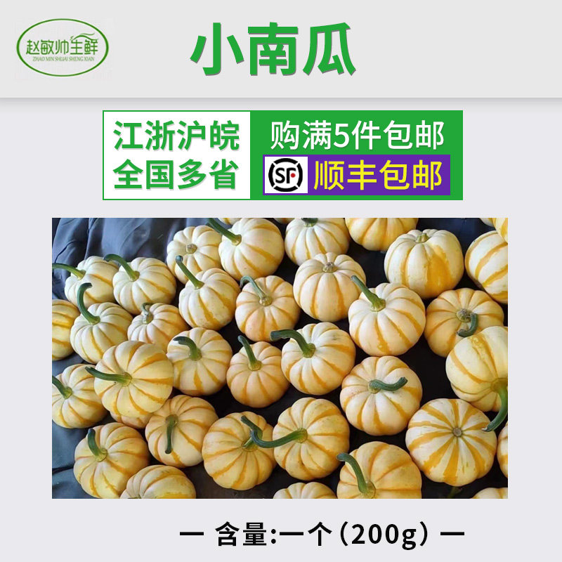 小南瓜新鲜蔬菜迷你小南瓜