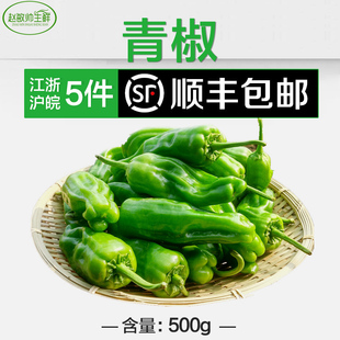 现货 坏菜包赔 江浙沪5件顺丰 薄皮椒 包邮 辣椒 500g 青椒