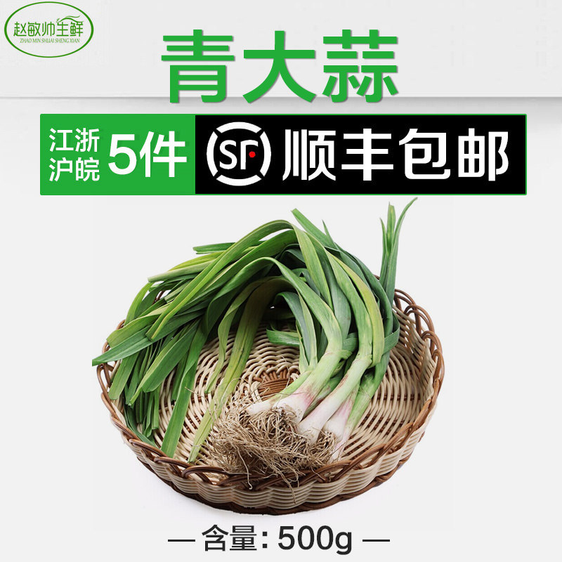 青大蒜 1斤装  江浙沪5件顺丰包邮 大蒜叶新鲜蔬菜葱蒜 坏菜包赔